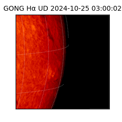 gong - 2024-10-25T03:00:02