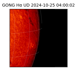 gong - 2024-10-25T04:00:02