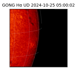 gong - 2024-10-25T05:00:02