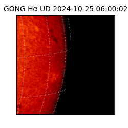 gong - 2024-10-25T06:00:02