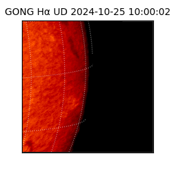 gong - 2024-10-25T10:00:02