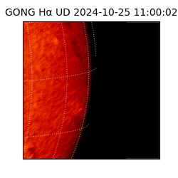 gong - 2024-10-25T11:00:02