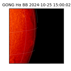 gong - 2024-10-25T15:00:02