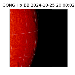 gong - 2024-10-25T20:00:02