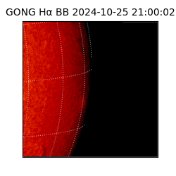 gong - 2024-10-25T21:00:02