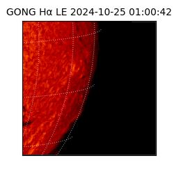 gong - 2024-10-25T01:00:42