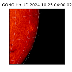 gong - 2024-10-25T04:00:02