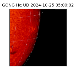 gong - 2024-10-25T05:00:02