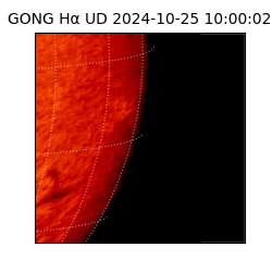 gong - 2024-10-25T10:00:02