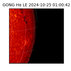 gong - 2024-10-25T01:00:42