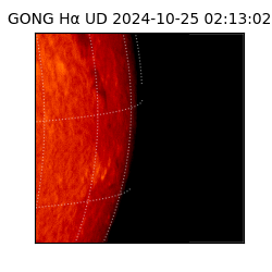 gong - 2024-10-25T02:13:02