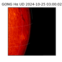 gong - 2024-10-25T03:00:02