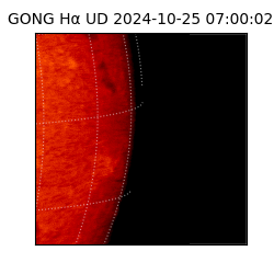 gong - 2024-10-25T07:00:02