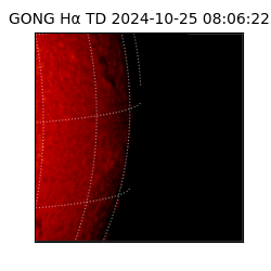 gong - 2024-10-25T08:06:22