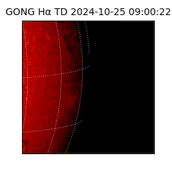 gong - 2024-10-25T09:00:22