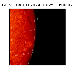 gong - 2024-10-25T10:00:02