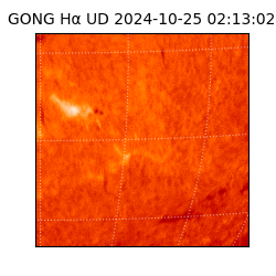 gong - 2024-10-25T02:13:02