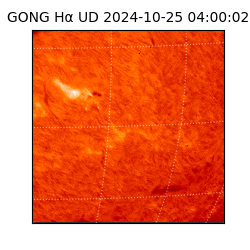 gong - 2024-10-25T04:00:02