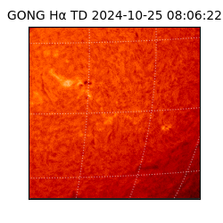 gong - 2024-10-25T08:06:22