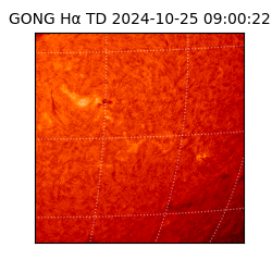 gong - 2024-10-25T09:00:22