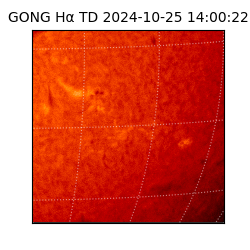 gong - 2024-10-25T14:00:22