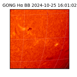 gong - 2024-10-25T16:01:02