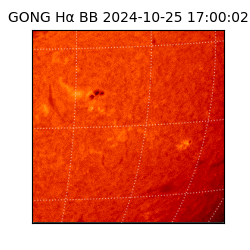 gong - 2024-10-25T17:00:02