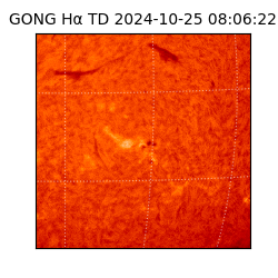 gong - 2024-10-25T08:06:22