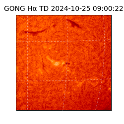 gong - 2024-10-25T09:00:22