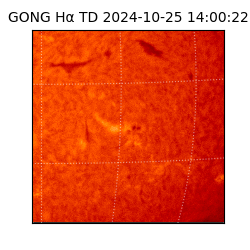 gong - 2024-10-25T14:00:22