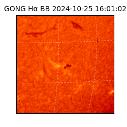 gong - 2024-10-25T16:01:02