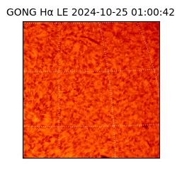 gong - 2024-10-25T01:00:42