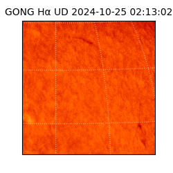 gong - 2024-10-25T02:13:02
