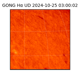 gong - 2024-10-25T03:00:02