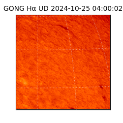 gong - 2024-10-25T04:00:02