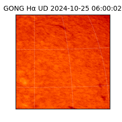 gong - 2024-10-25T06:00:02