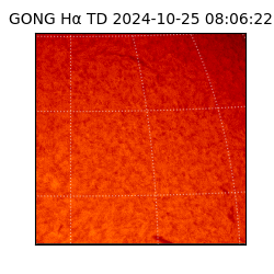 gong - 2024-10-25T08:06:22