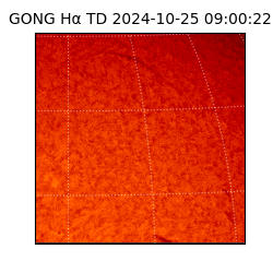 gong - 2024-10-25T09:00:22