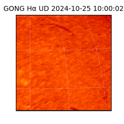 gong - 2024-10-25T10:00:02