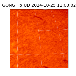 gong - 2024-10-25T11:00:02