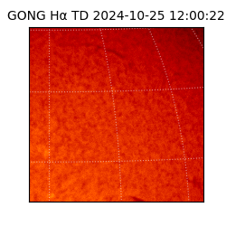 gong - 2024-10-25T12:00:22