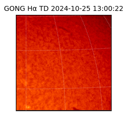 gong - 2024-10-25T13:00:22