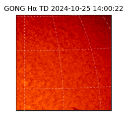 gong - 2024-10-25T14:00:22