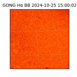 gong - 2024-10-25T15:00:02