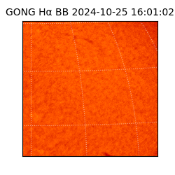 gong - 2024-10-25T16:01:02