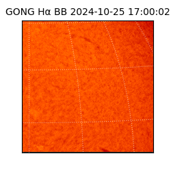 gong - 2024-10-25T17:00:02