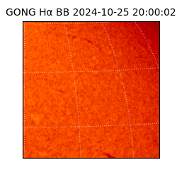 gong - 2024-10-25T20:00:02