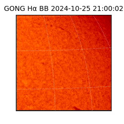 gong - 2024-10-25T21:00:02