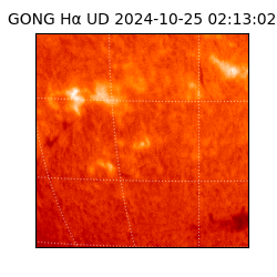 gong - 2024-10-25T02:13:02