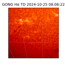 gong - 2024-10-25T08:06:22